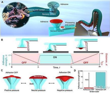 受章魚吸盤的啟發(fā)，他們3D打印了水下抓握手套 微信截圖_20230304162715