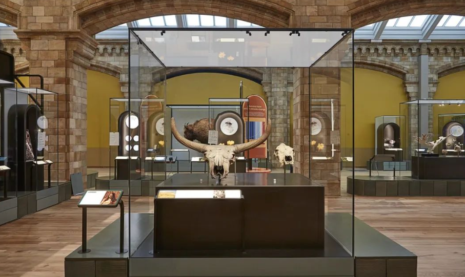 倫敦自然歷史博物館推出新展廳，展示LAMáQUINA可持續(xù)3D打印陶瓷作品 image