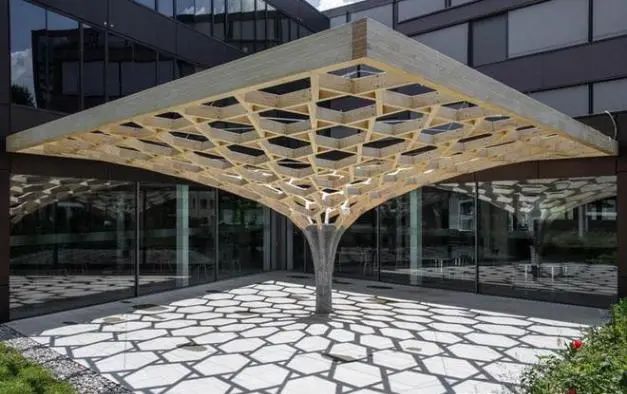 瑞士蘇黎世聯邦理工大學探索3D打印和木結構聯合建造的可能 圖片