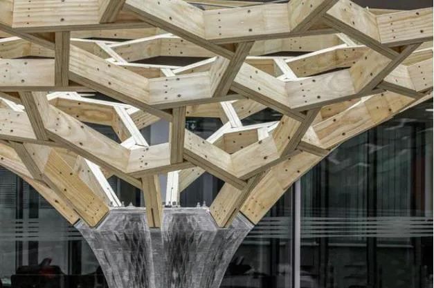 瑞士蘇黎世聯邦理工大學探索3D打印和木結構聯合建造的可能 圖片
