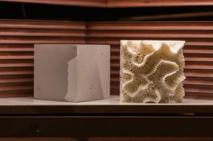 3D 打印混凝土人工魚礁，幫助修復(fù)海洋珊瑚礁生態(tài)環(huán)境 圖片